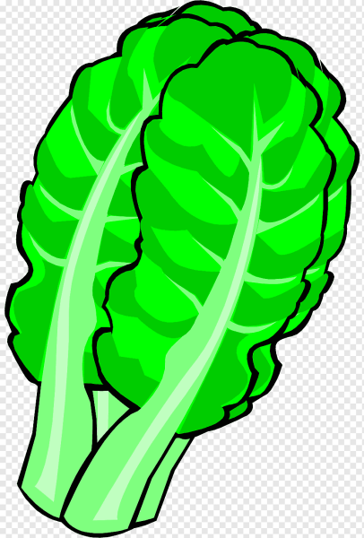 Лист капусты