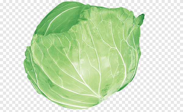 Капуста Примавера