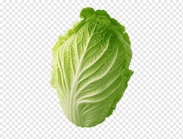 Лист пекинской капусты