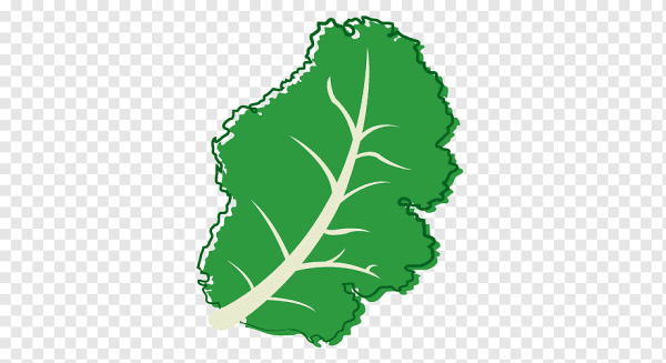 Ботва Репки