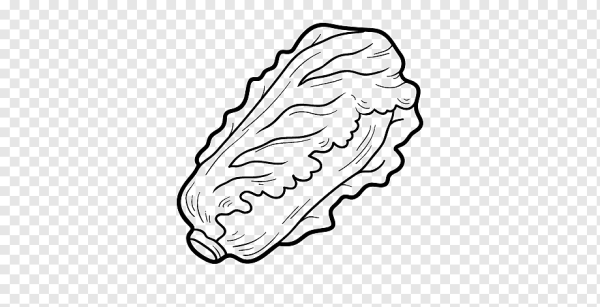 Лист салата раскраска