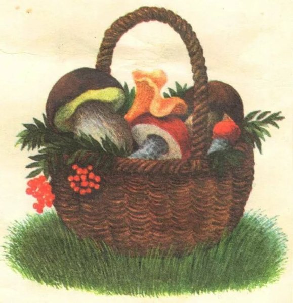 Нарисовать корзину с грибами