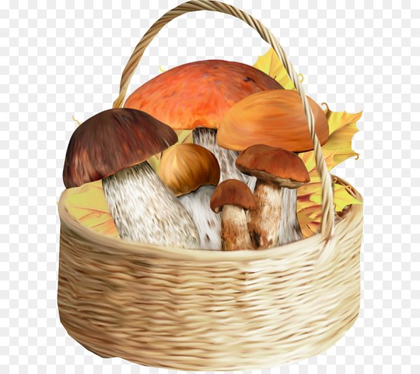 Корзинка с грибами рисунок