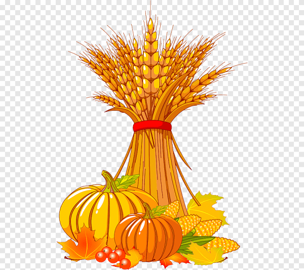 Урожай мультяшный