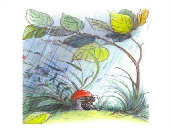 Владимир Сутеев под грибом