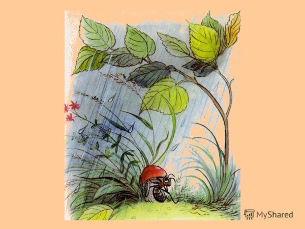 Сутеев в. "под грибом"