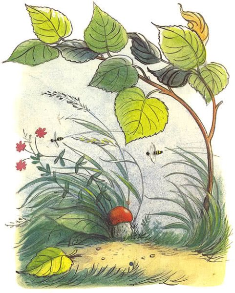 Иллюстрации к сказке Даля война грибов