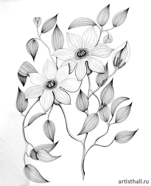 Цветы в графике