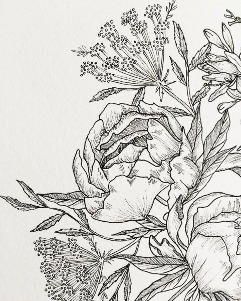 Цветы рисунок Графика