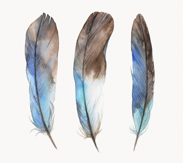 Птичье перо