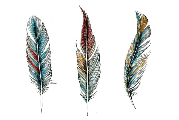 Изящное перо