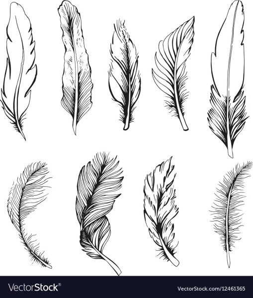 Перо Графика эскиз