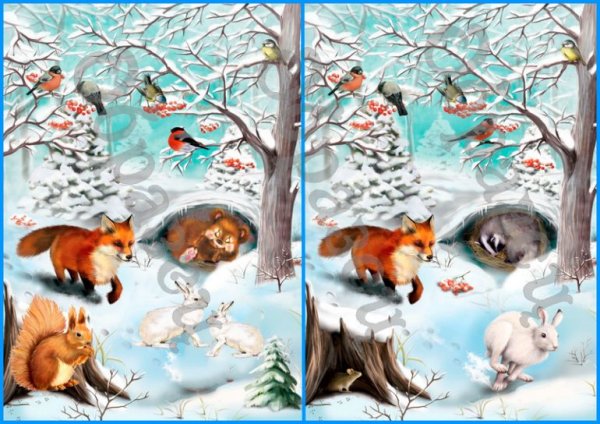 Зимние животные для детей