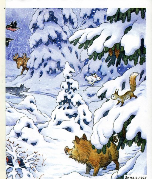 Лес зимой для детей