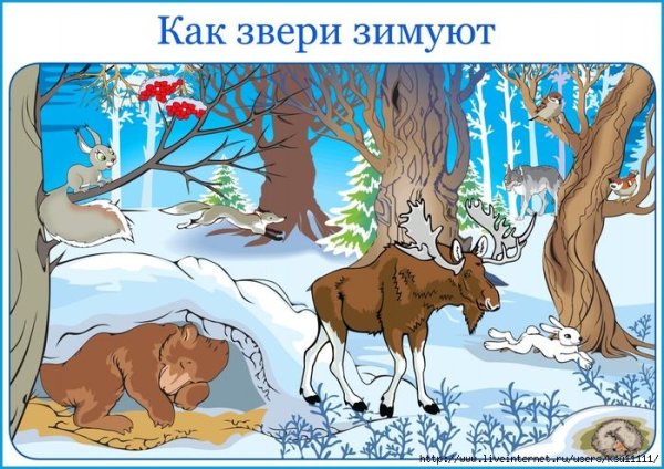Как зимуют звери