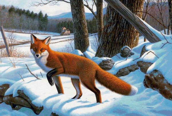 Дикие животные зимой