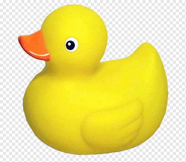 Ducky утка