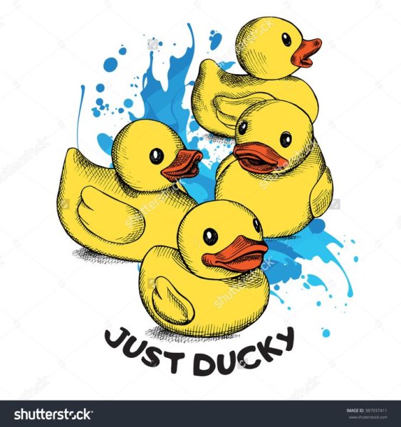 Уточка эскиз