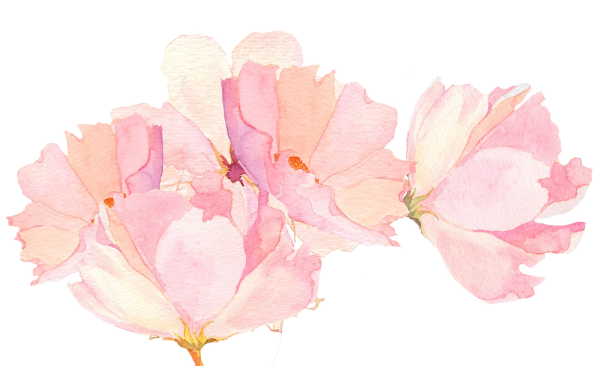 Прозрачные Акварельные цветы