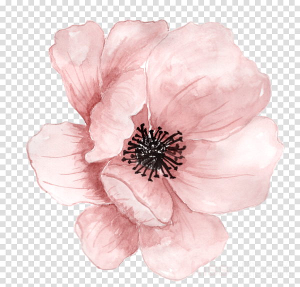 Акварельные цветы