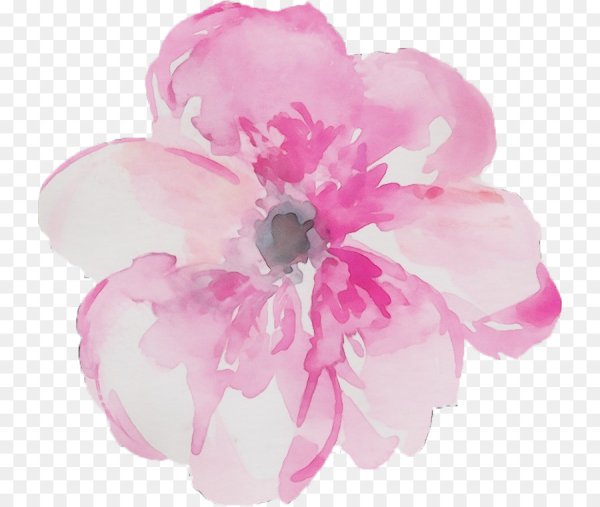 Прозрачные Акварельные цветы