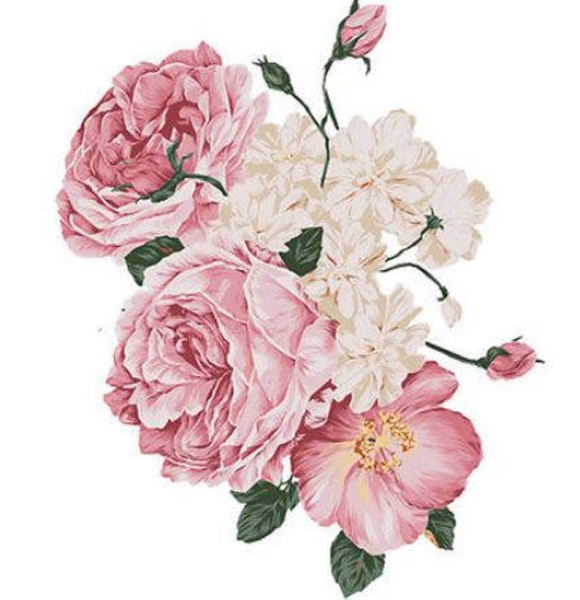 Пионы на белом фоне для декупажа