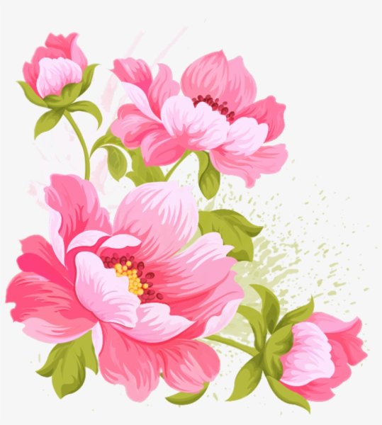 Цветы вектор