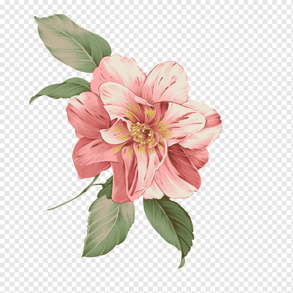 Цветы иллюстрация