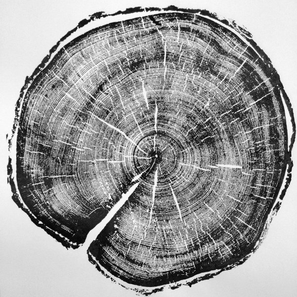 Срез дерева Графика