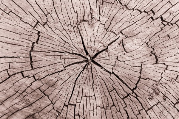 Текстура трещин