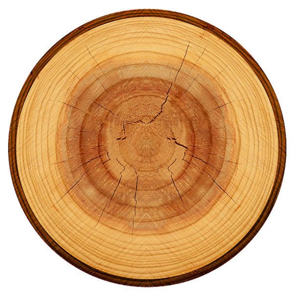 Спил бревна