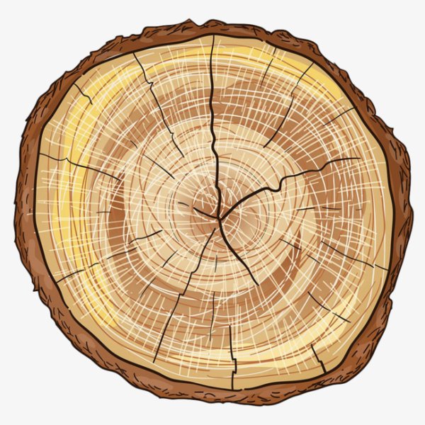 Древесина срез в векторе