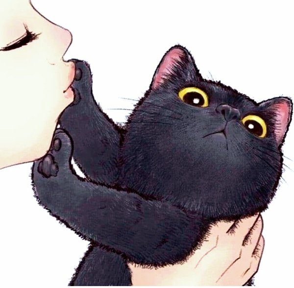 Котики поцелуйчики