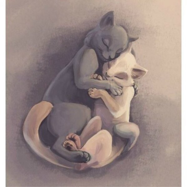 Коты обнимаются арт