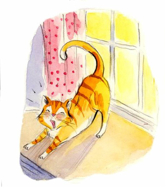 Кот потягивается рисунок