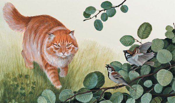 Пришвин кот