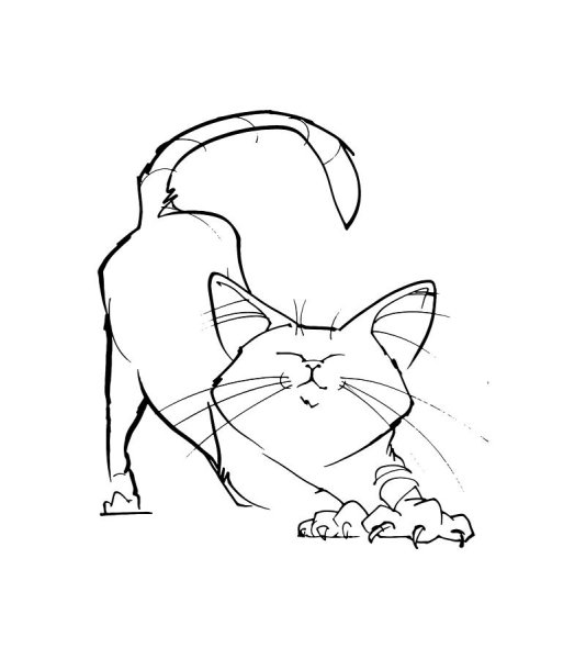 Кошка рисунок