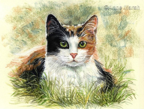 Трехцветные картины