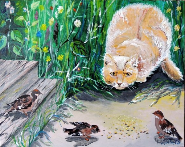 Кот охотится на воробьёв