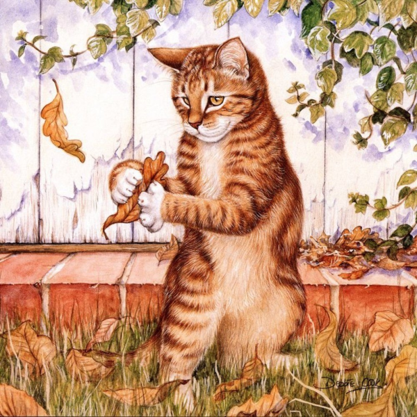 Художник Debbie Cook кошки