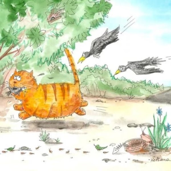 Кот варюгапаустовский