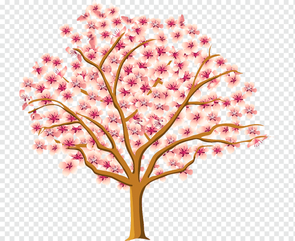 Вишневое дерево