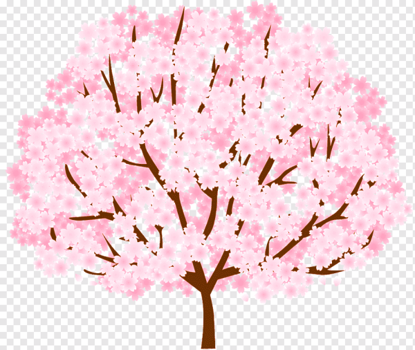 Весеннее дерево на белом фоне