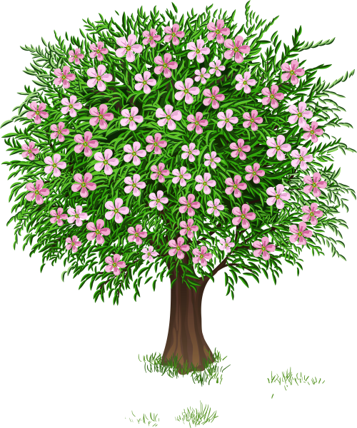 Цветущее дерево для детей