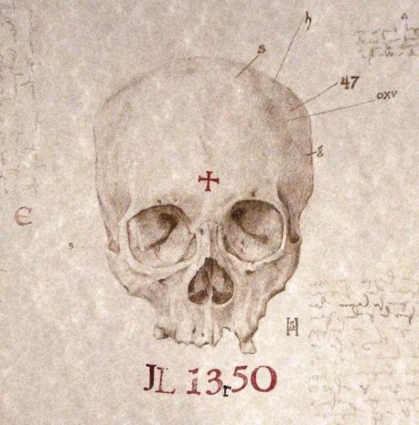 МЕМЕНТО Мори обои