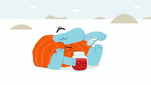 Бодо борода мультик путешествие