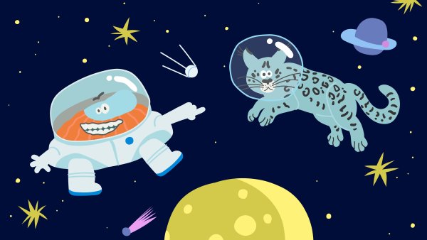 Бодо бородо герои мультфильма