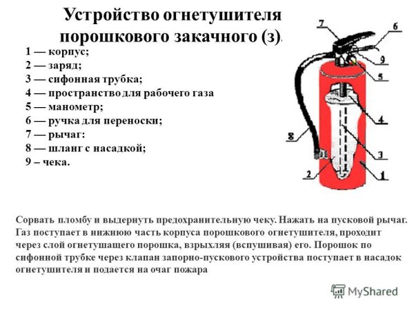 Огнетушитель порошковый ОП-5 схема