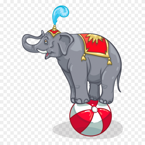 Слон на шаре