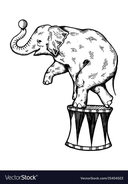 Рисование слон циркач